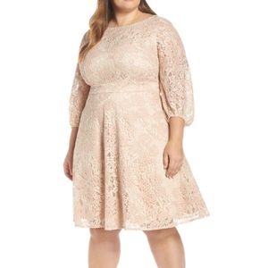 eliza j plus size dresses